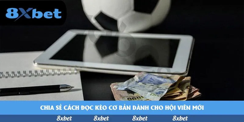 8xbet - đá gà philippines