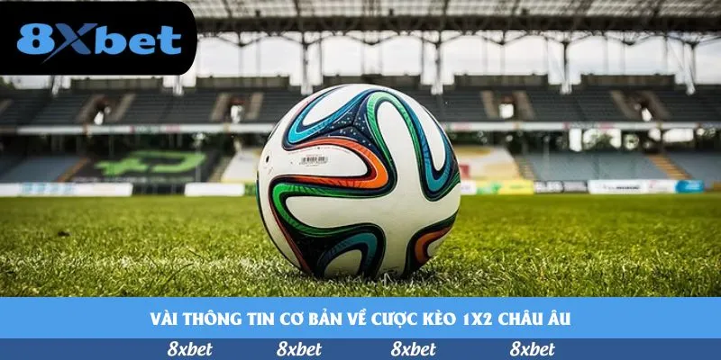 8xbet - link vào 188bet không bị chặn