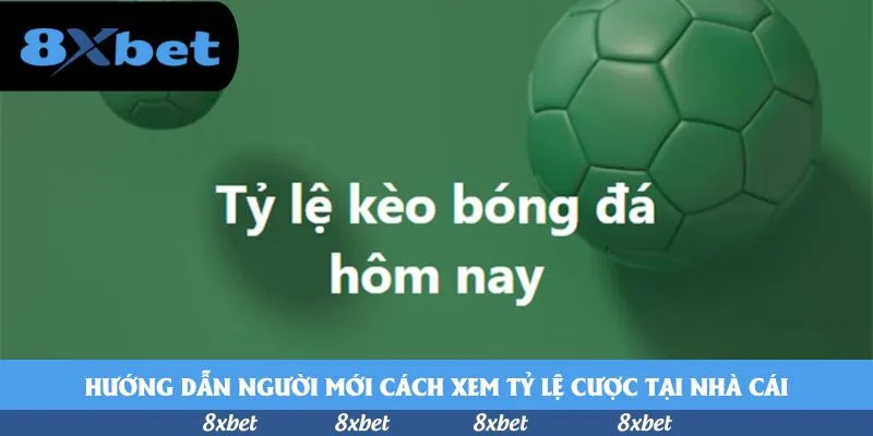 8xbet - fa88 bị chặn vào bằng cách nào