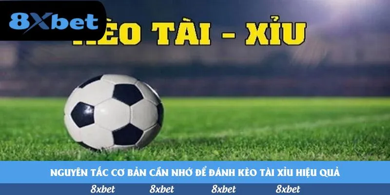 8xbet - mn88